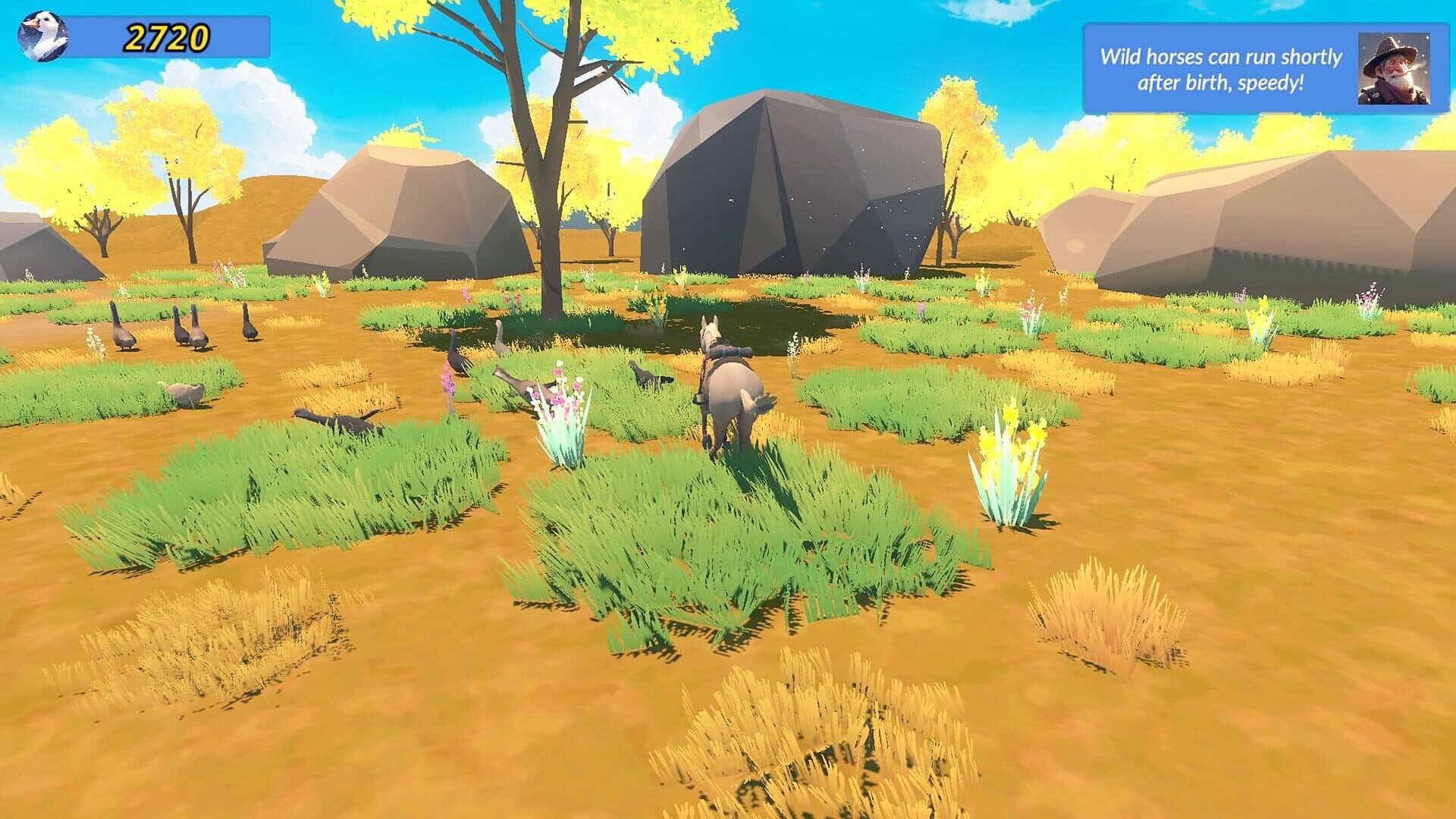 Screenshot 1206696