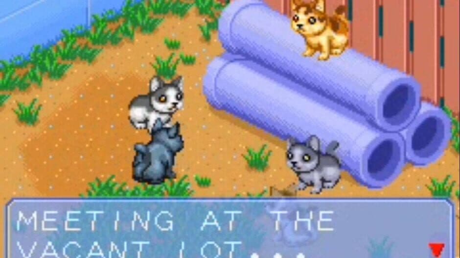Screenshot principal de Catz