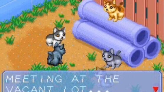 Miniature Screenshot 427021