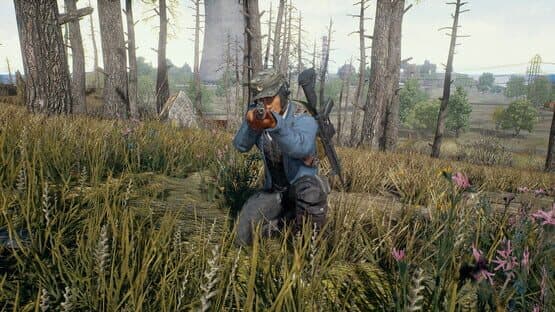Miniature Screenshot 38069